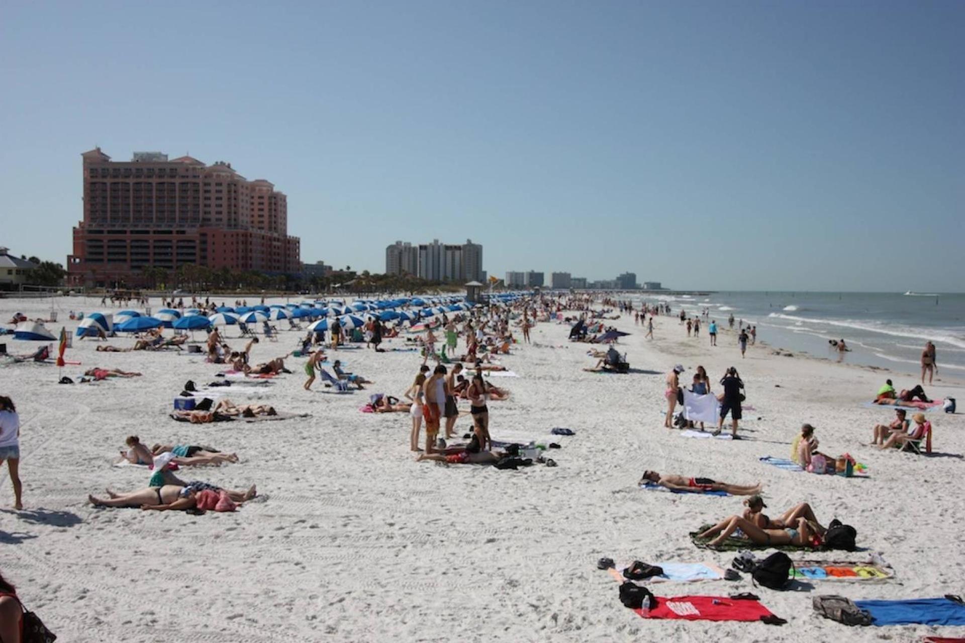 201 Belleair Beach Club Clearwater Beach Ngoại thất bức ảnh